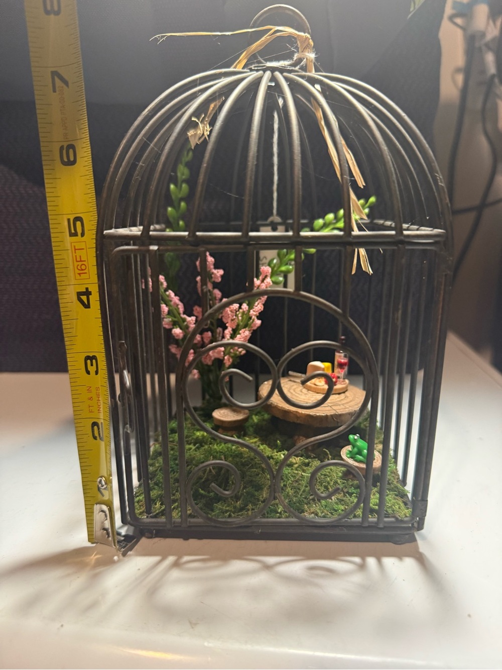 Decorative Black Metal Birdcage Terrarium with Miniature Garden